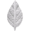 Folhas de Cetim Engomado Branco - Modelos Diversos