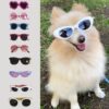 Oculos + Caneta - Image 4