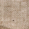 Juta - Rolo 50 metros - Image 2